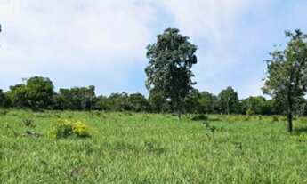 Imagem 6: Fazenda a venda a poucos km de Valença-BA