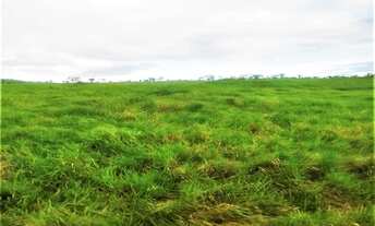 Imagem: Fazenda de 350 Tarefas