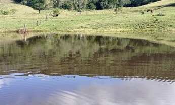 Imagem 4: Chácara 4,9 hectares potreiro e açúde
