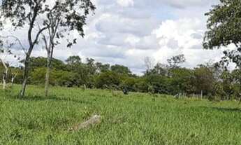 Imagem 2: Fazenda a venda a poucos km de Valença-BA