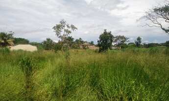 Imagem 3: Chácara em Goiânia