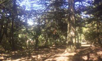 Imagem 2: Casa na Barragem do Salto em São Francisco de Paula!