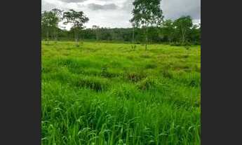 Imagem 6: FAZENDA NO MUNICÍPIO DE CABECEIRAS DE GOIÁS