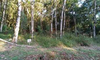 Imagem 3: Terreno no Residencial Pinheiro Grosso em Canela!