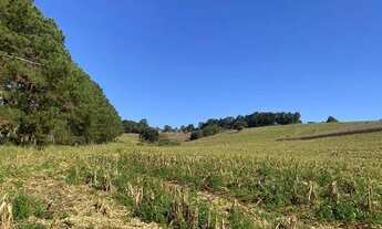 Imagem 4: Lote/Terreno para venda com 500 metros quadrados em Centro - Atibaia - SP