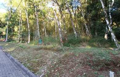 Imagem 2: Terreno no Residencial Pinheiro Grosso em Canela!