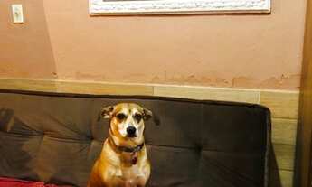 Imagem 4: Kitnet para Venda