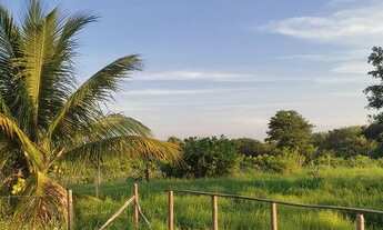 Imagem 5: Vende-se roça caatinguinha