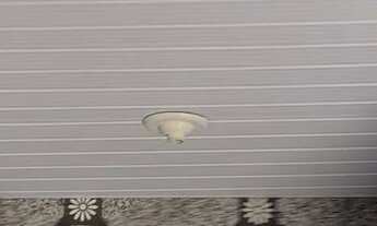 Imagem 6: Alugo loja em inhauma prox a toque a campainha