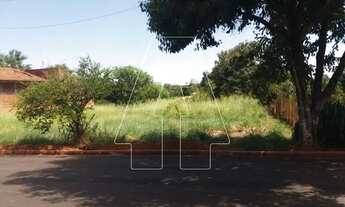 Imagem: Araçatuba - Lote/Terreno - Pinheiros