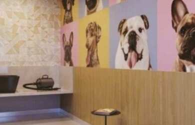 Imagem 3: Apartamento com 2 dormitórios e vaga na mooca