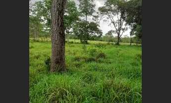 Imagem 4: FAZENDA NO MUNICÍPIO DE CABECEIRAS DE GOIÁS
