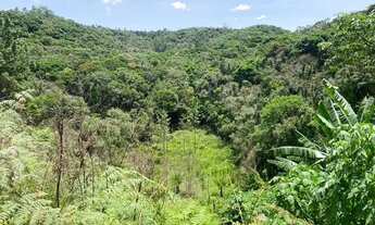 Imagem 2: Terreno pronto para construir 20.000m2 - Juquitiba