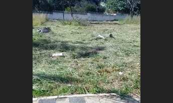 Imagem: Lote excelente Rua 5 Altiplano Leste/ próxima