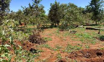 Imagem 2: Terra boa para plantio em Jequitibá Entrada + parcelas de 949,50