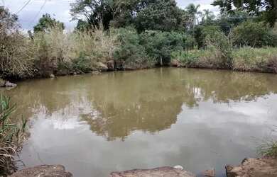 Imagem 6: Lindo sitio Chácara com venda por R$2.000.000