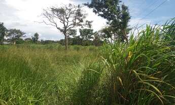 Imagem 4: Chácara em Goiânia