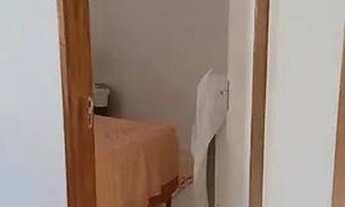 Imagem 3: Apartamento minha casa minha vida