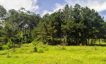 Imagem 4: Vende-se terreno 500m2 em Cotia!