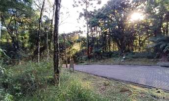 Imagem 5: Terreno no Residencial Pinheiro Grosso em Canela!