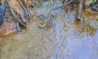 Imagem 5: Excelente acesso, com muita água!