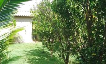 Imagem 4: Chácara em Goainira