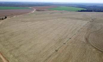 Imagem: Fazenda com pivô município de João pinheiro