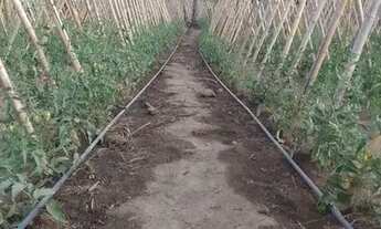 Imagem: Fazendinha 84 Hectares, Poço,Casa sede