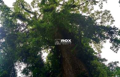 Imagem 4: Terreno/Fazenda à venda por R$ 3.900.000 - Campina Grande do Sul/PR