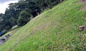 Imagem 4: Vende se chácara