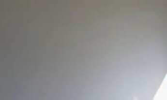 Imagem 6: Aluguel próximo a Renault São José dos Pinhais