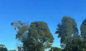 Imagem 5: Liberdade para criar: Terreno Amplo em Ibiúna, Perfeito para Seus Projetos!