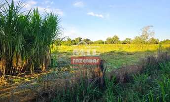 Imagem 7: Fazenda 56 alqueires ( 271 hectares ) Crixas GO