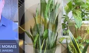 Imagem 6: Apartamento no Terra Mundi Parque Cascavel no Jardim Atlântico com 2 quartos 1 suíte