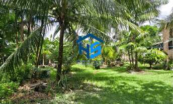 Imagem 3: VENDO SÍTIO COM CASA EM SALINAS