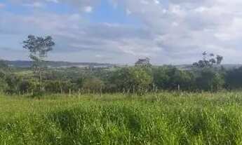 Imagem 9: Chácara 18 mil m²