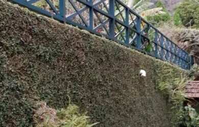 Imagem 16: Casa Petrópolis Condomínio em Araras Ideal p/pousada