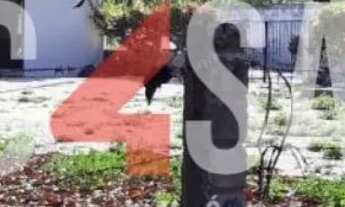 Imagem 4: Lote/Terreno para venda tem 1092 metros quadrados em Engenheiro Luciano Cavalcante - Forta