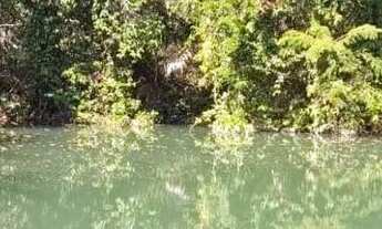 Imagem 3: Fazenda à venda, 00, Monte Alegre de Goiás, GO