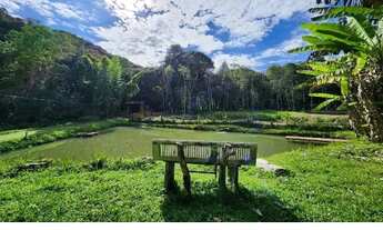 Imagem 5: Vendo Chalé com Lago + Cachoeira Privada + Piscina - 80 Km de SP