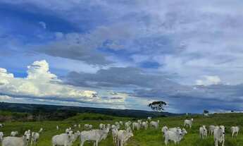 Imagem 4: Fazenda a venda em Campo Alegre de Goias