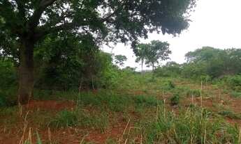 Imagem 4: TERRENO RURAL 50.000M2