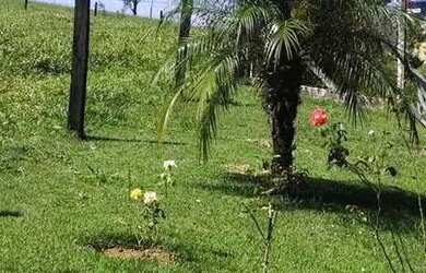 Imagem 7: Chácara em Área Rural - Área Rural de São João da Boa Vista - São João da Boa Vista/SP