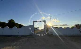 Imagem 2: Chácara à venda com 23 tarefas (69.000M²) entre Porto da folha e Lagoa da volta