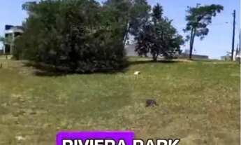 Imagem 3: Terreno em Santa Paula I