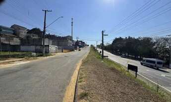 Imagem 6: Terreno comercial / industrial para locação ou venda na av. André Franco Montoro em Jacare