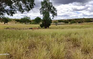 Imagem 2: FAZENDA EM LAJEDINHO - 4000 TAREFAS