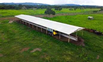 Imagem 2: FAZENDA MUNICÍPIO DE NOBRES