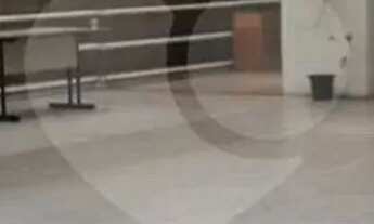 Imagem 4: Prédio inteiro à venda ou para locação em Santana - SP