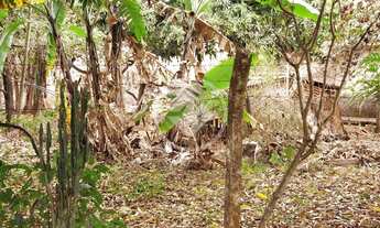 Imagem 3: Sítio no Setor Sítio de Recreio dos Bandeirantes. codigo: 127814